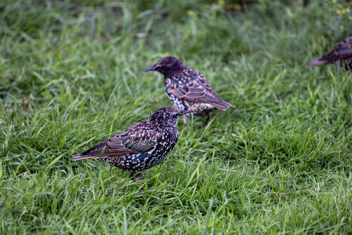 Фото: Дмитрий Фуфаев