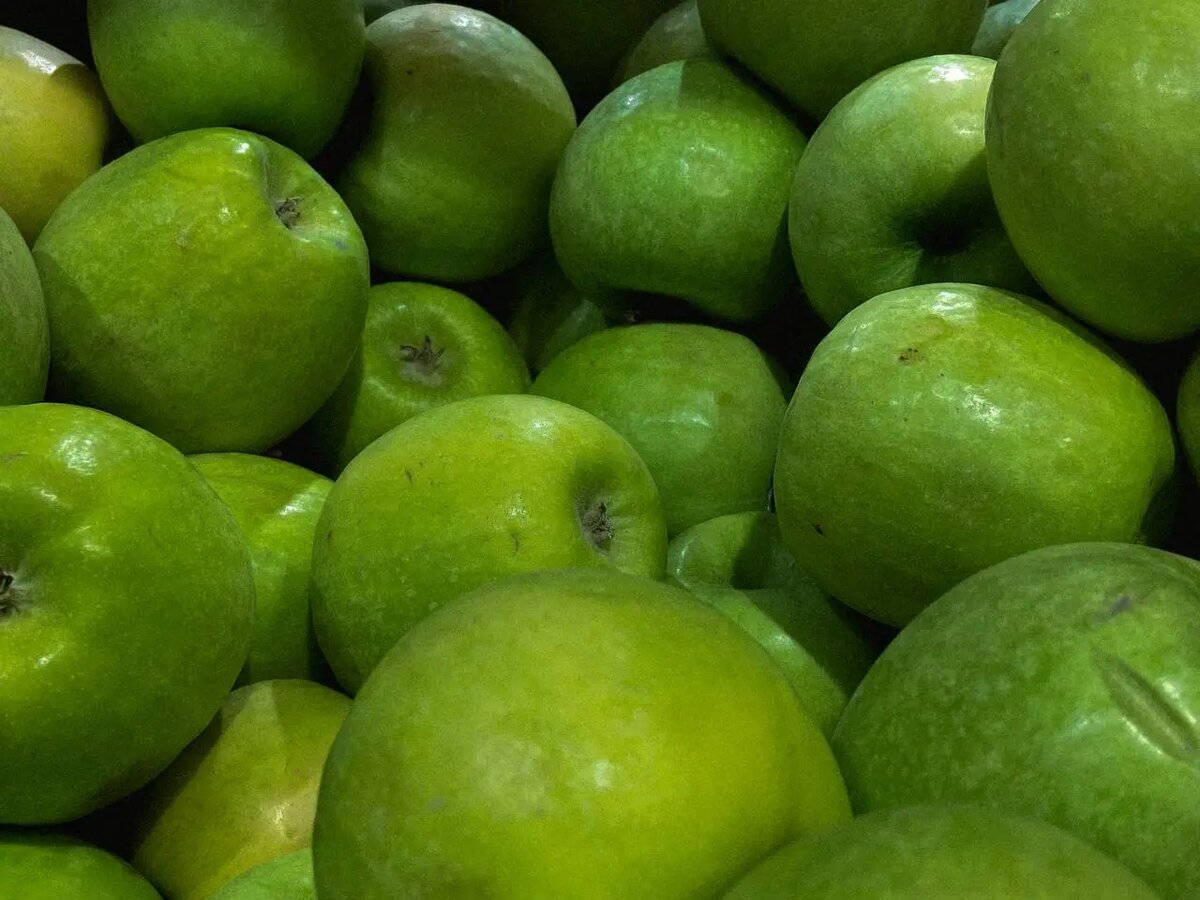   Яблоки. Фото: Мойка78
