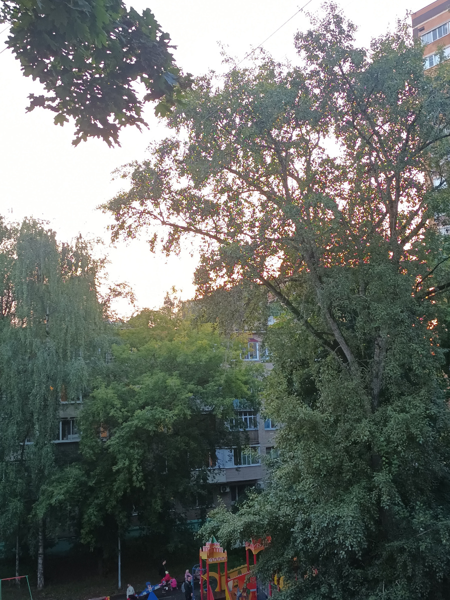 Наташинский парк