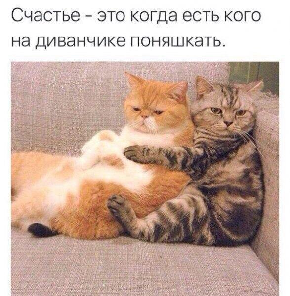 Мем с интернета из открытых источников 