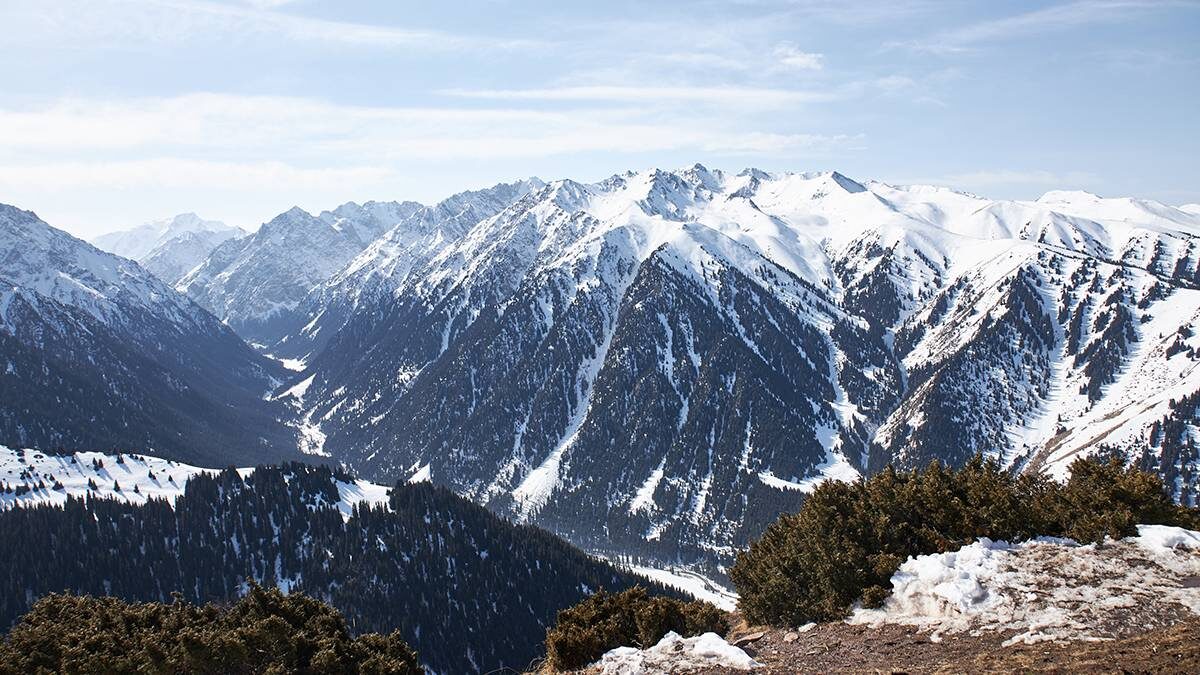    Фото: Shutterstock