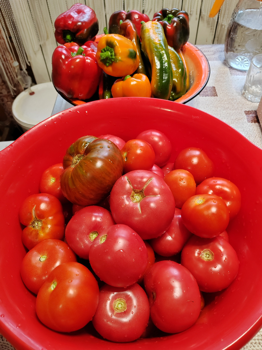 Помидоры и перцы