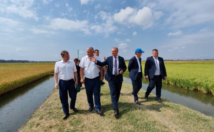    Фото: ФНЦ риса