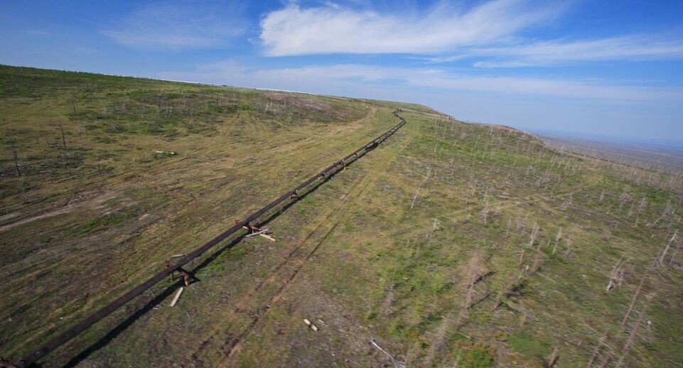    Serguei Fomine/Russian Look / www.globallookpress.com