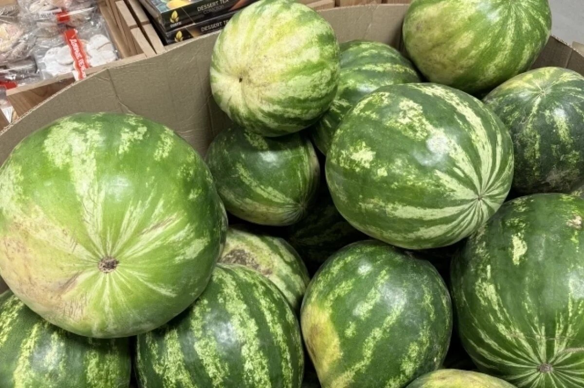    Арефьев: чем дольше арбуз едет, тем меньше вероятность того, что он опасен