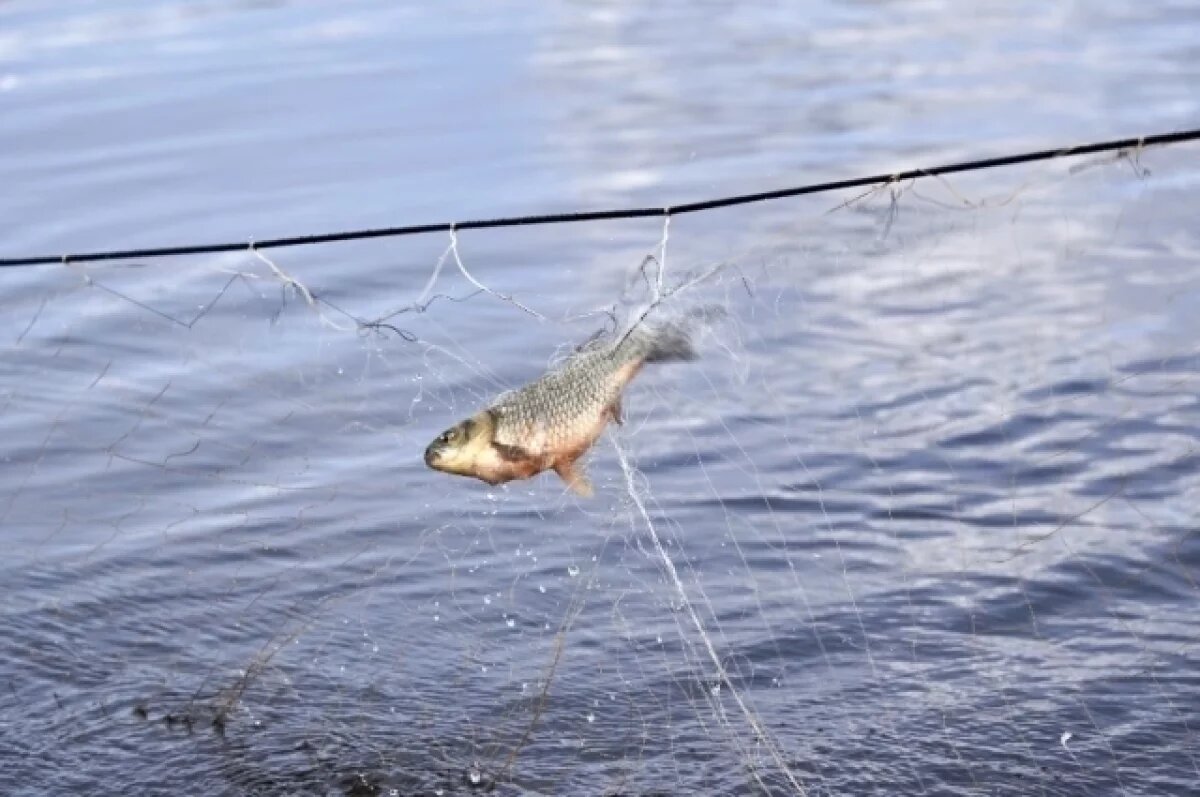    Незаконная рыбалка обернулась штрафом в 400 тысяч для астраханца