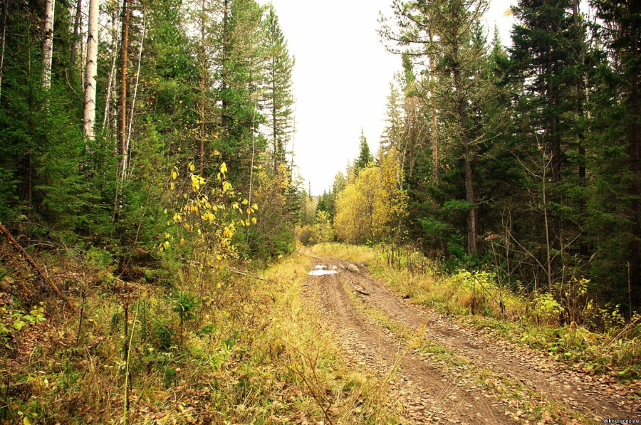 sergeysever29.livejournal.com