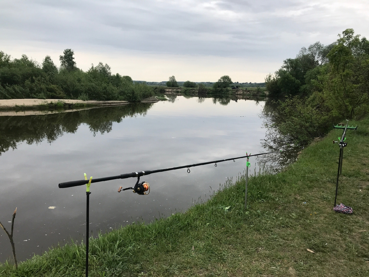 ждём первых поклёвок