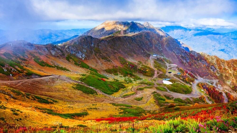    Фото: saiko3p/Shutterstock/Fotodom