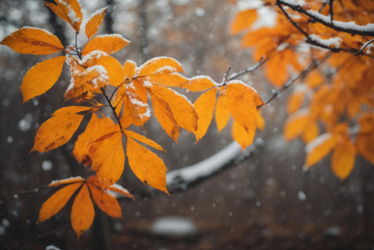    Погода 123RF/legion-media.ru