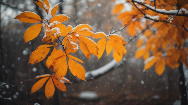 Синоптики сообщили об изменении прогноза на сентябрь и наступление холодов