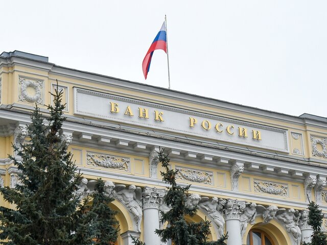    Фото: Москва 24/Никита Симонов