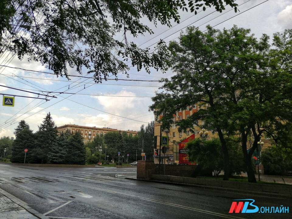    Фото: МТВ.ОНЛАЙН / Елизавета Денисова