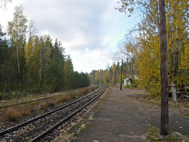 Платформа Большой Приморки. Октябрь 2009 г.