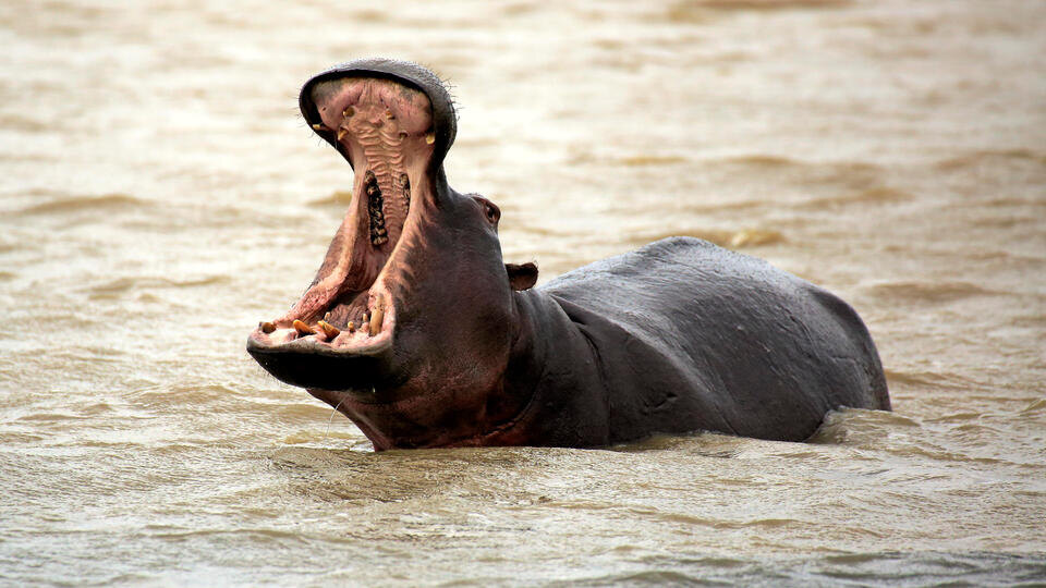 Фото: © www.globallookpress/Jürgen & Christine Sohns