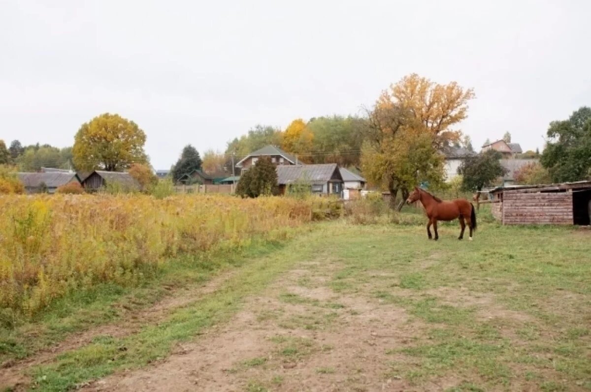    Воронеж расширит свои границы за счёт лесных посёлков на площади 34 га