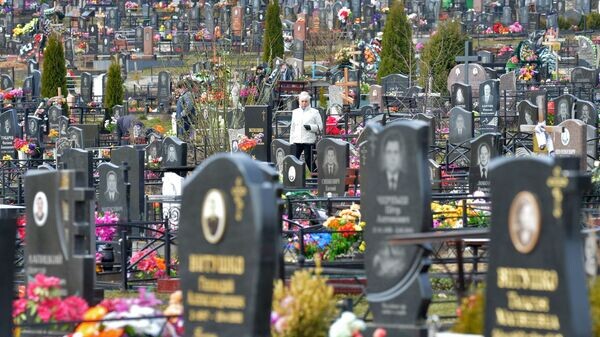    © Sputnik / Виктор Толочко