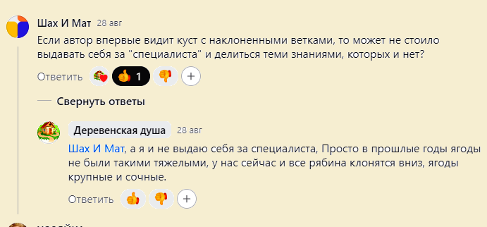 Скриншот комментария