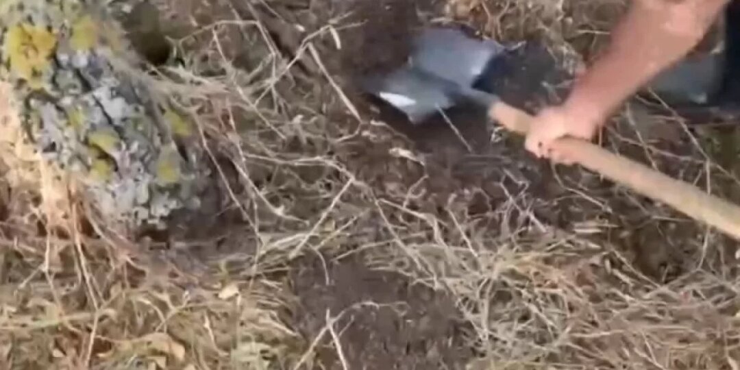 На месте преступления подозреваемый в убийстве «дюймовочки» дал показания