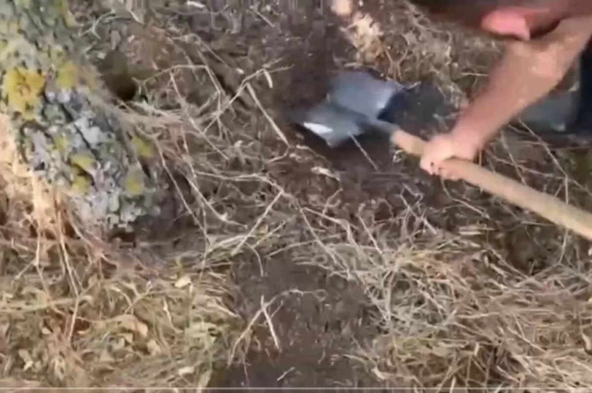    На месте преступления подозреваемый в убийстве «дюймовочки» дал показания