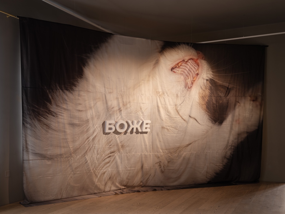    Архивы пресс-службы