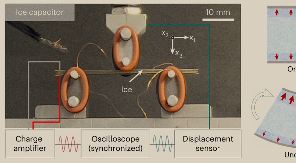   N + 1; Xin Wen et al. / Nature Physics, 2025