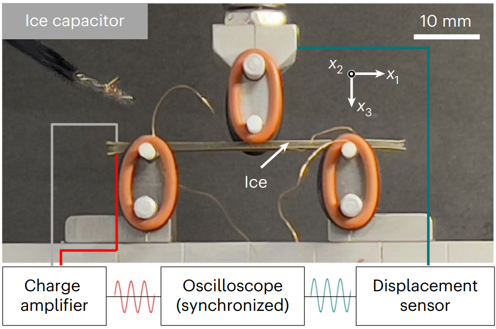   Xin Wen et al. / Nature Physics, 2025