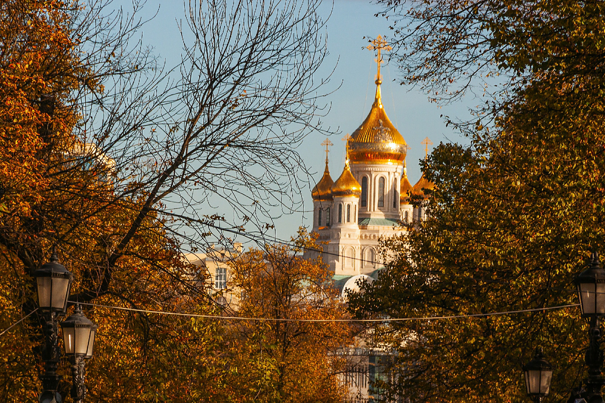 фото:Roman Denisov/Global Look Press