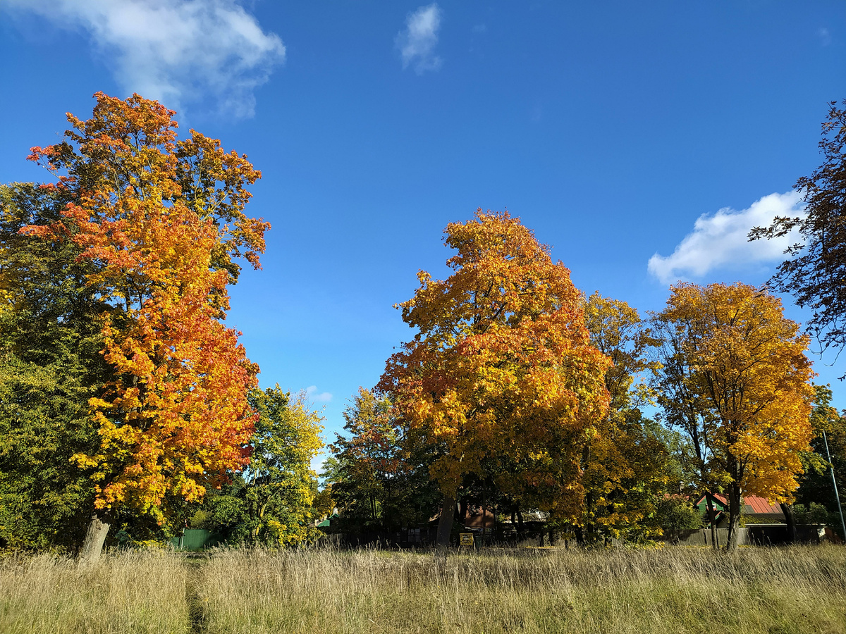 фото:Victor Lisitsyn/Global Look Press