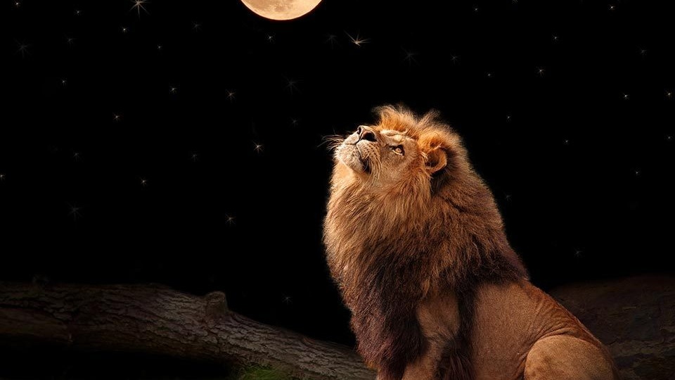 Лев♌. Гороскоп на сентябрь 2025. Лунное и солнечное затмение. Коридор затмений
