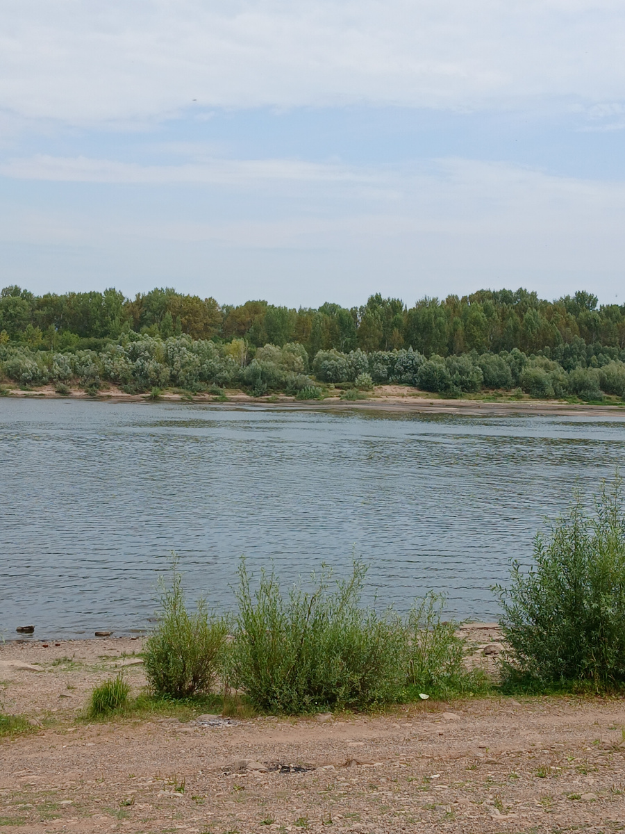 Вид не речку вначале лета.