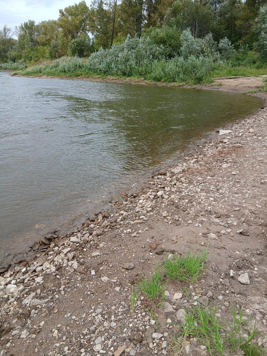 Каменистый берег в середине лета.