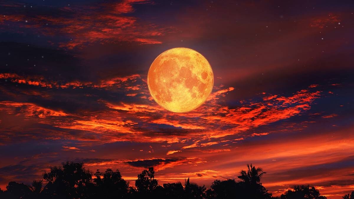    Фото: Shutterstock