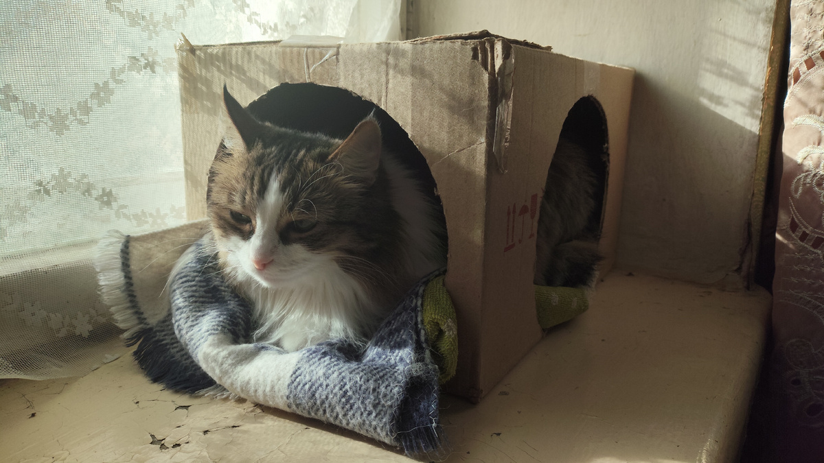 фото автора