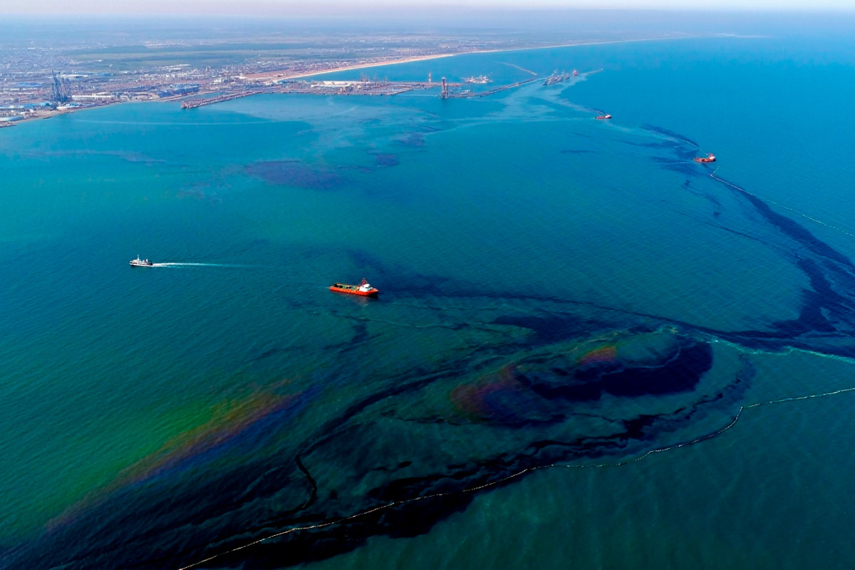    Фото: сгенерировано ИИ, источник: reve.art