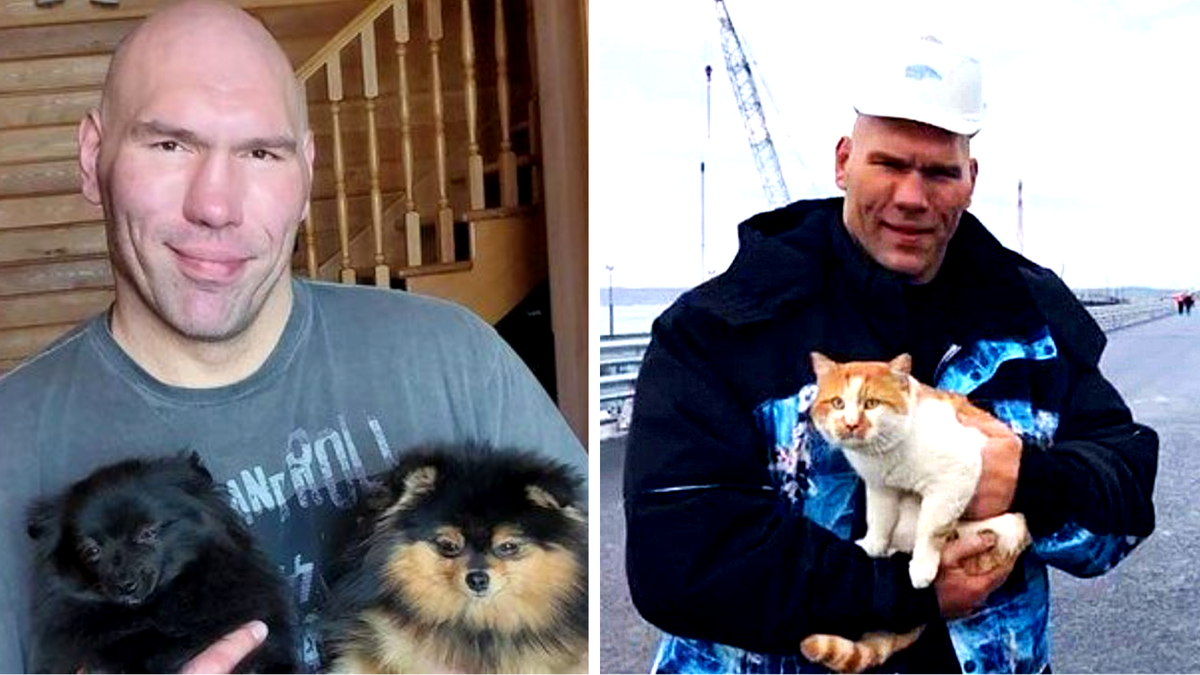 Слева  - с любимыми собаками, справа - с котом Мостиком, встреченным Николаем на строительстве Крымского моста. Так Валуев мост и инспектировал - с котом на руках.