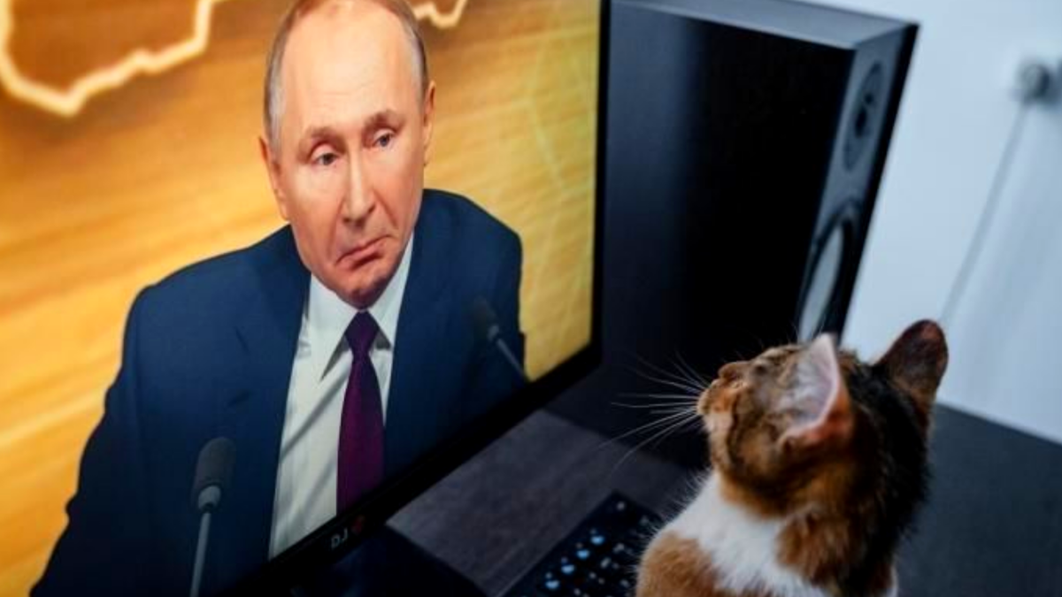 Кстати, Владимир Владимирович тоже неоднократно "засветился" в публичных симпатиях к котикам, но дома кошек не держит. Загадка? Вот и котики также считают! Может еще время не пришло...