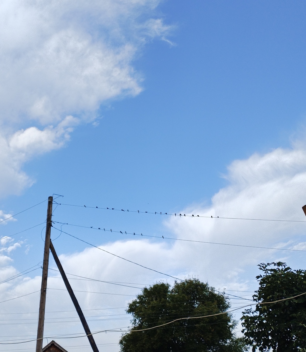 #фотомир_нелли @nellielisova 