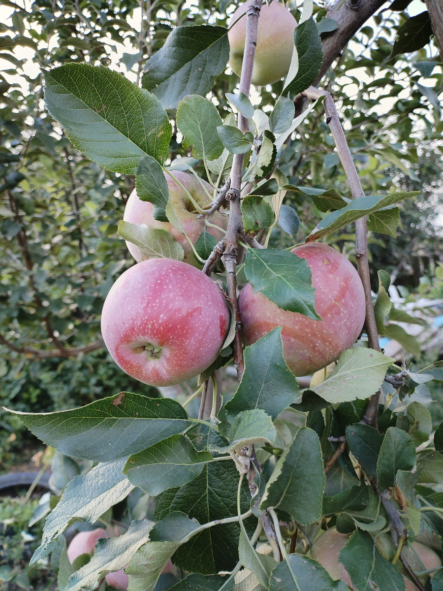 #фотомир_нелли @nellielisova 