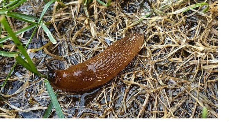    Фото: Лукьянов Дмитрий, AgroXXI.ru