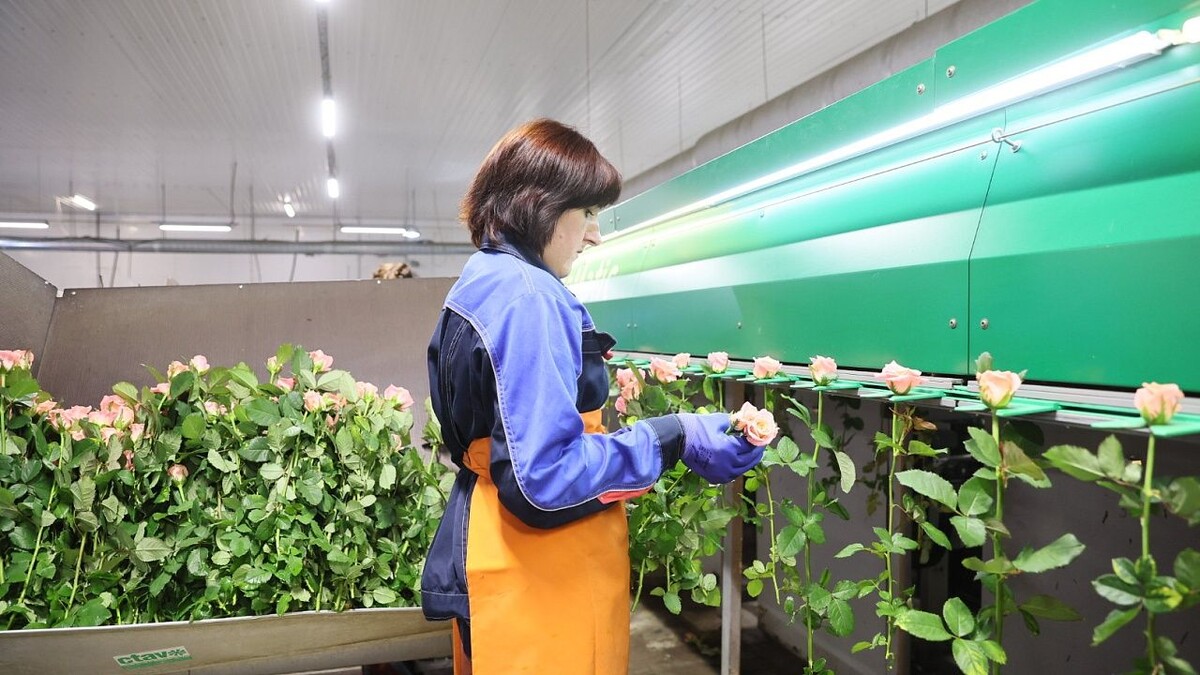    фото: пресс-служба администрации Краснодарского края