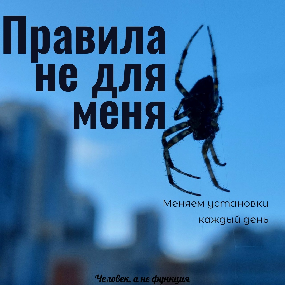 Создать карусельПрямо на крыльце нашего дома увидел. Такой большой и красивый!