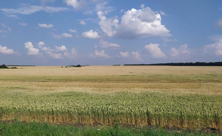    фото Курские Известия