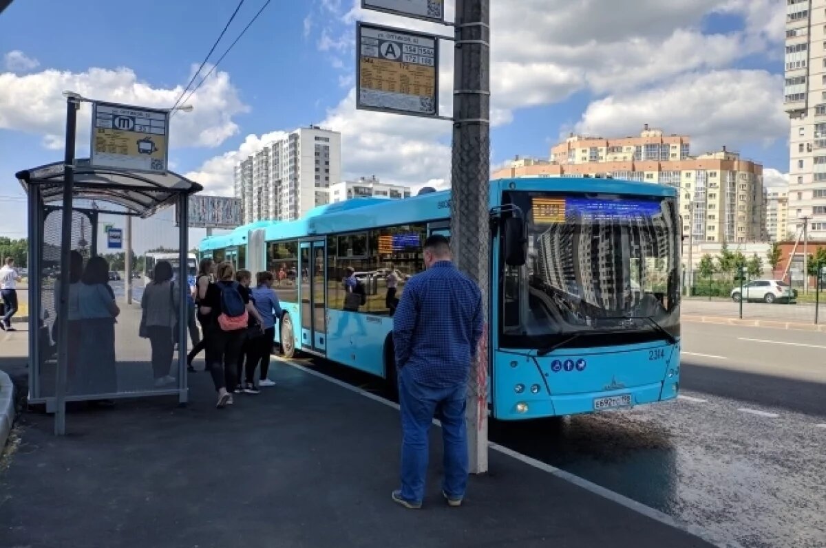    Пассажирский автобус сбил девушку на проспекте Просвещения