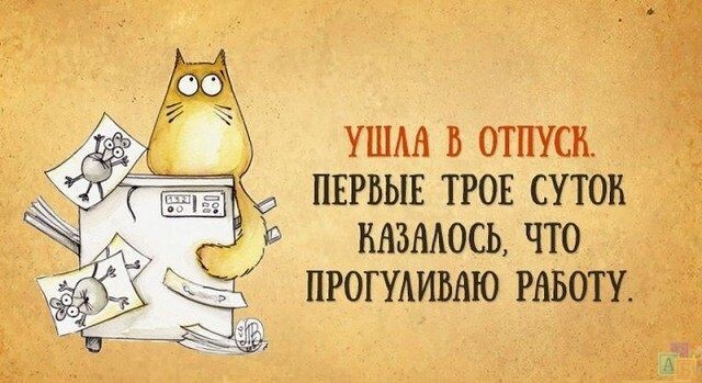 фото с просторов интернета