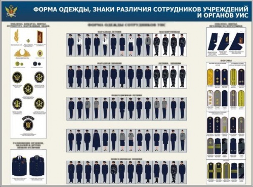 фото с просторов интернета 