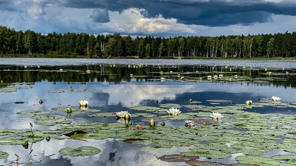 ФОТОГРАФ Иван Бо | Россия