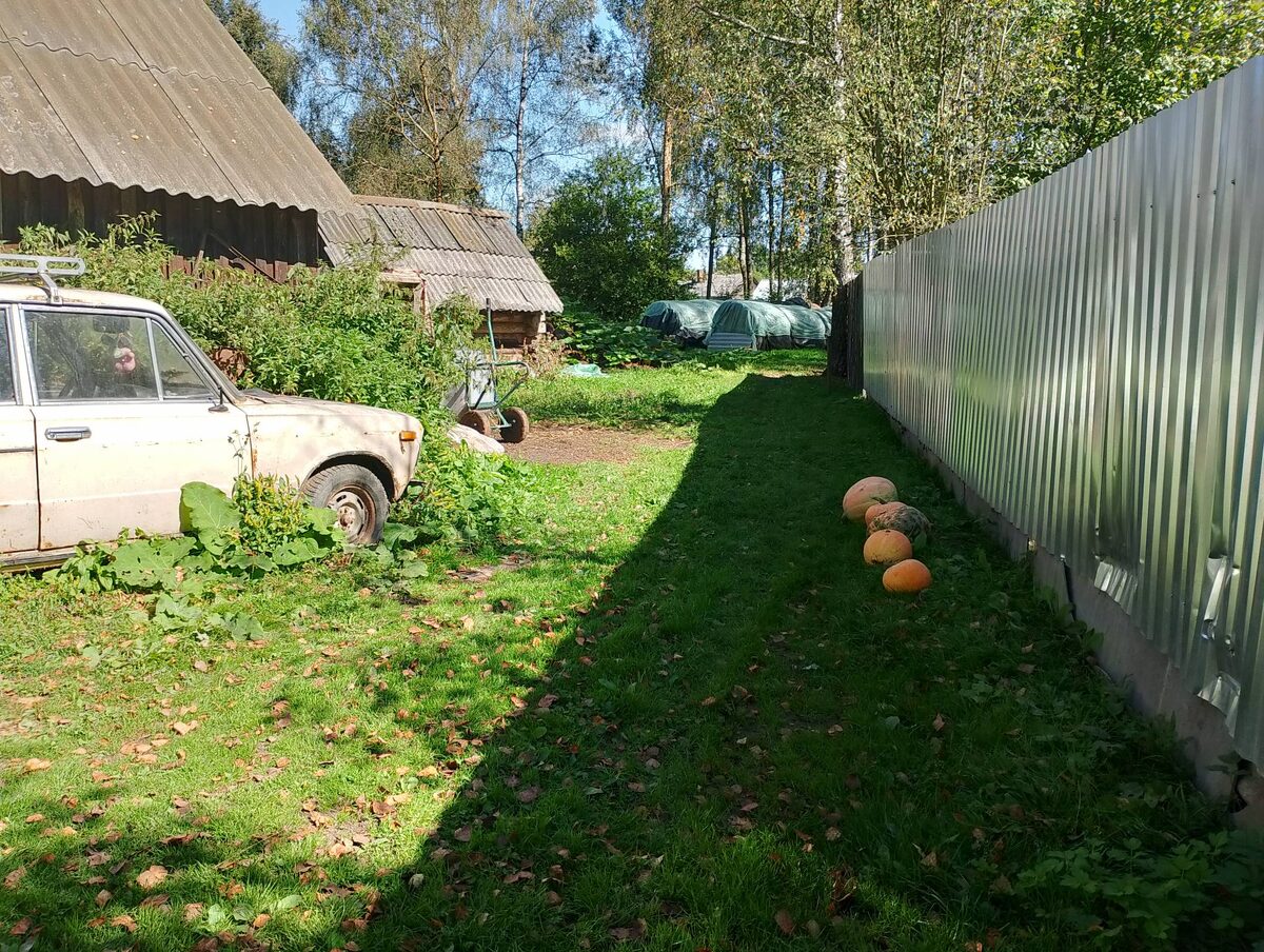 Слева на фото - символ сломанной кукухи