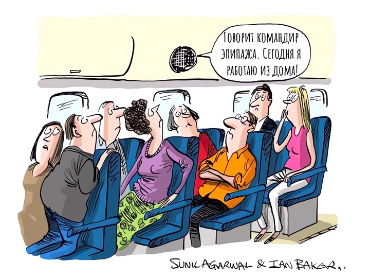 художник С. Агарвал