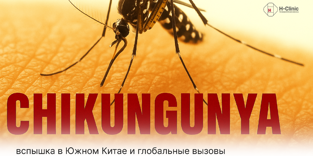Лихорадка Чикунгунья: вспышка в Южном Китае и глобальные вызовы